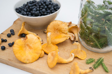wintering on the wooden plate: blueberries, pine and mushrooms