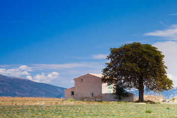 House near tree in the mountains