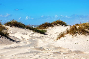 Dune beach at Costa Nova in Portugal