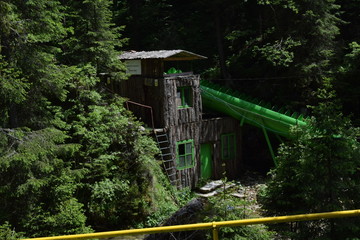 Beautiful life nature