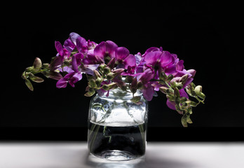 glass vase with purple flowers on a black background