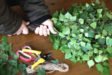 Making birch broom for the bath. Man's hands put together fresh branches of a birch tree. Secateur,...