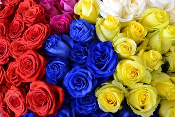 Разноцветные розы на Международной выставке цветов в Москве