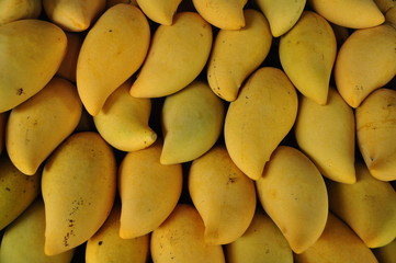 Nam Dok Mai mangoes on shelf