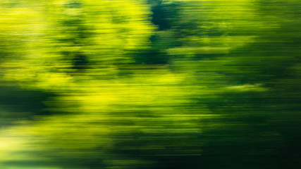Nature in motion from the train window