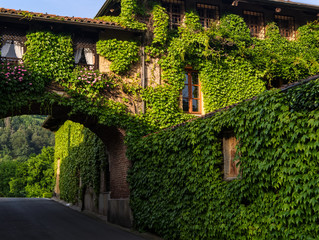 Fototapeta na wymiar House with wall and arch in bricks covered with ivy, and old wooden windows, Italy