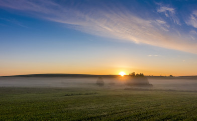 Sunrise over the field covered with fog.