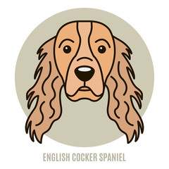 Portrait of English Cocker Spaniel. Vector illustration in style of flat