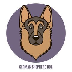 Portrait of German Shepherd Dog. Vector illustration in style of flat