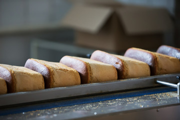 A production line for the production of bread. Bread on a conveyor belt