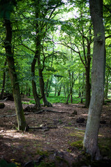Ostsee genießen auf dem Darß