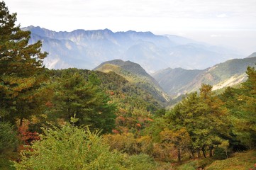 Naklejka premium Beautiful mountain view in autumn in Alishan, Taiwan