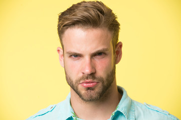 Fototapeta premium Bearded man with beard on unshaven face on yellow background. Macho with serious look. Bearded and handsome. Hair and barber salon. Skin care and grooming
