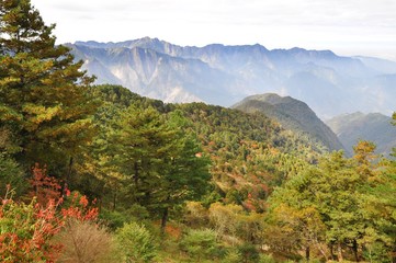 Beautiful mountain view in autumn in Alishan, Taiwan