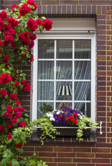 brick wall with window and flower boxes with flowering plants