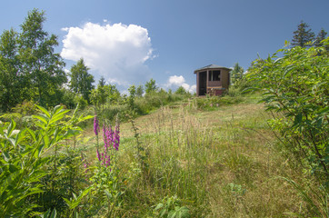 im Th&uuml;ringer Wald