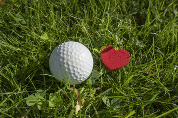 Golf with love on green grass