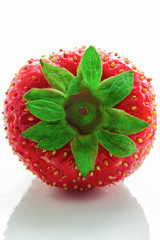Red berry strawberry isolated on white background.