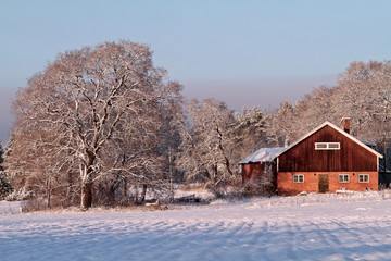 Old farms cattle shelter in winter time