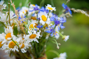 Midsummer in Latvia: celebration of Ligo in june decorating home with field flower bouquet
