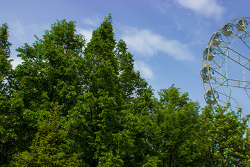Fototapeta premium Ferris wheel and green trees in the park