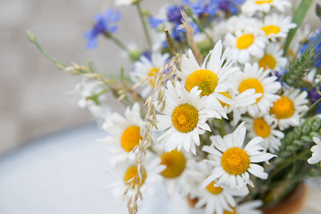 Midsummer in Latvia: celebration of Ligo in june decorating home with field flower bouquet