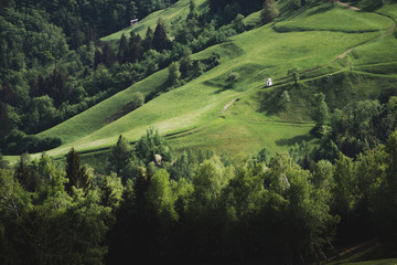 Alpine landscape along pathway with sign