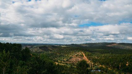 Fototapeta na wymiar Landscape of the Ribajeto, Santarem region of Central Portugal