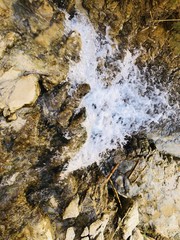 river