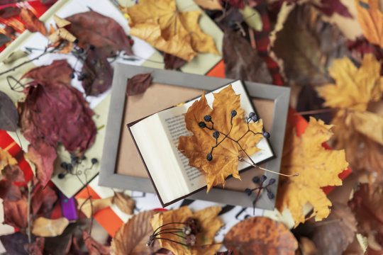 Open book in wooden frame close-up, top view, sunny fall day, autumn background, colorful leaves, romantic mood. Concept of back to school, education