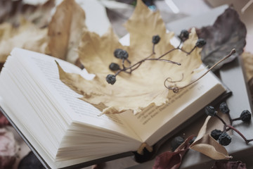 Open book close-up covered among autumn leaves, sunny fall day, vintage background. Top view. Concept of study start, romantic mood