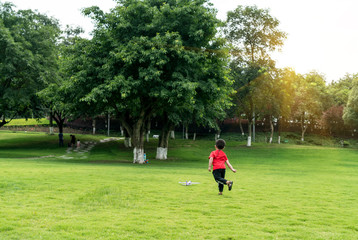 Children are flying on the grass in the public park