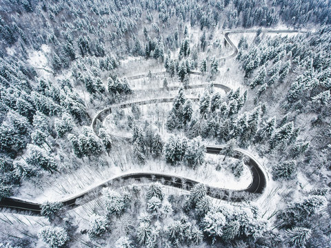 Extreme winter road trough a forest covered in snow