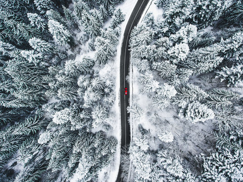 Car on road in winter trough a forest covered with snow