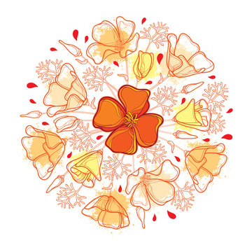 Vector round bouquet with outline orange California poppy flower or California sunlight or Eschscholzia, leaf and bud isolated on white background. Ornate contour poppies for enjoy summer design.