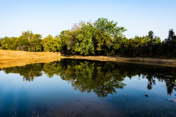 Fototapeta premium A small pond view with tree shadow near of pond.