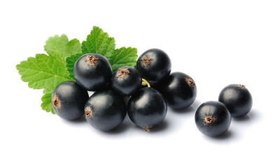Sweet berries of currants.