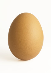 Egg on white background