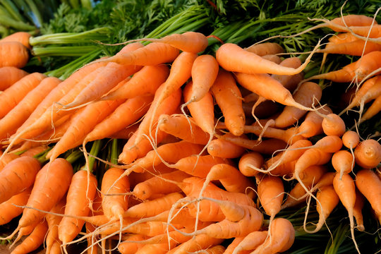 Fresh baby Carrot on a market stall.