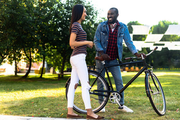 Fototapeta premium smiling multiracial couple with retro bicycle having conversation in park