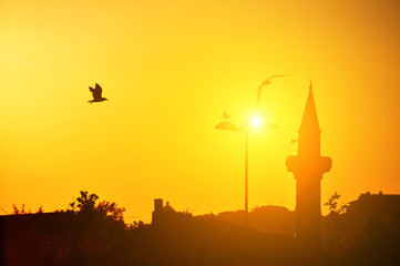 Silhouettes of a mosque and city with birds gulls in the sky at sunset. Dark outline against the background of the orange sky. The symbol of Istanbul.
