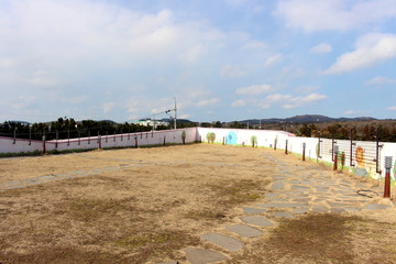View mountain and forest at Jeju, Korea