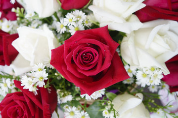 The red rose bouquet.