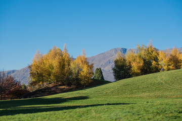 Lake Wanaka, view from mount Roys, South Island, New Zealand
