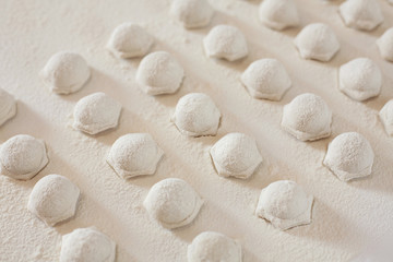 Fototapeta na wymiar Raw homemade dumplings on table covered with flour