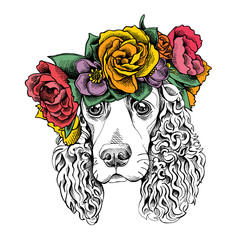 Portrait of a Spaniel dog in a floral head wreath. Vector illustration.