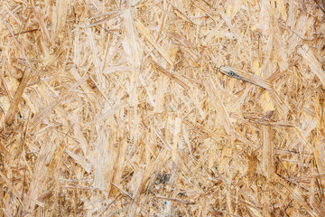 Wooden background from OSB plate close-up