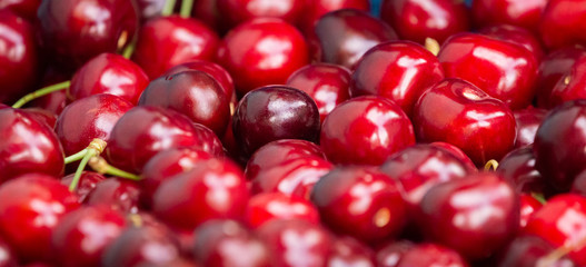 Close up of pile of ripe cherries with stalks. Large collection of fresh red cherries. Ripe cherries background