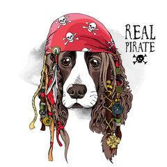 Fototapeta premium Portret psa Spaniela w chustce pirat z dredami. Ilustracji wektorowych.