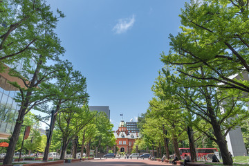 晴れた日の北海道庁赤レンガ / 夏の北海道 札幌観光のイメージ